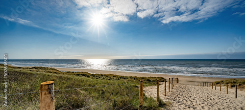 A path with many tracks, delimited by wooden posts on the sand dune with wild grass and beach in Noordwijk on the North Sea in Holland Netherlands - Panorama sea landscape with blue sky and clouds photo