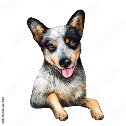 Australian Cattle Dog, dog digital illustration, spotted dog, Australian Cattle Dog portrait