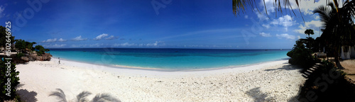 penguin on the beach © Aerial Pictures