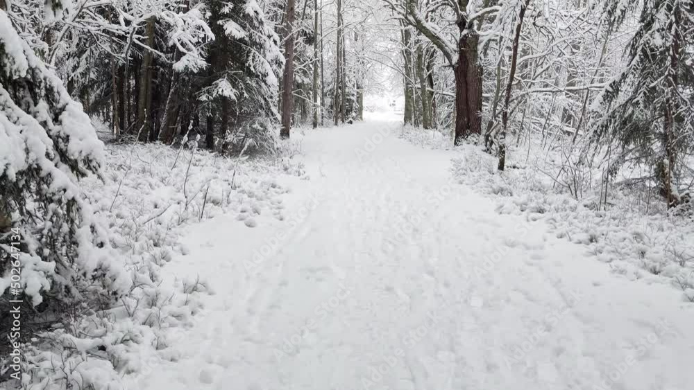 Tranquil snowfall in 4K video in the community ground with branched trees around during the Winter. Cloudy day Outdoor background copy space. Tranquil snowfall in 4K video in the community ground with branched trees around during the Winter. Cloudy day Outdoor background copy space.
