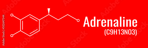 Chemical formula of adrenaline, vector structure of molecule