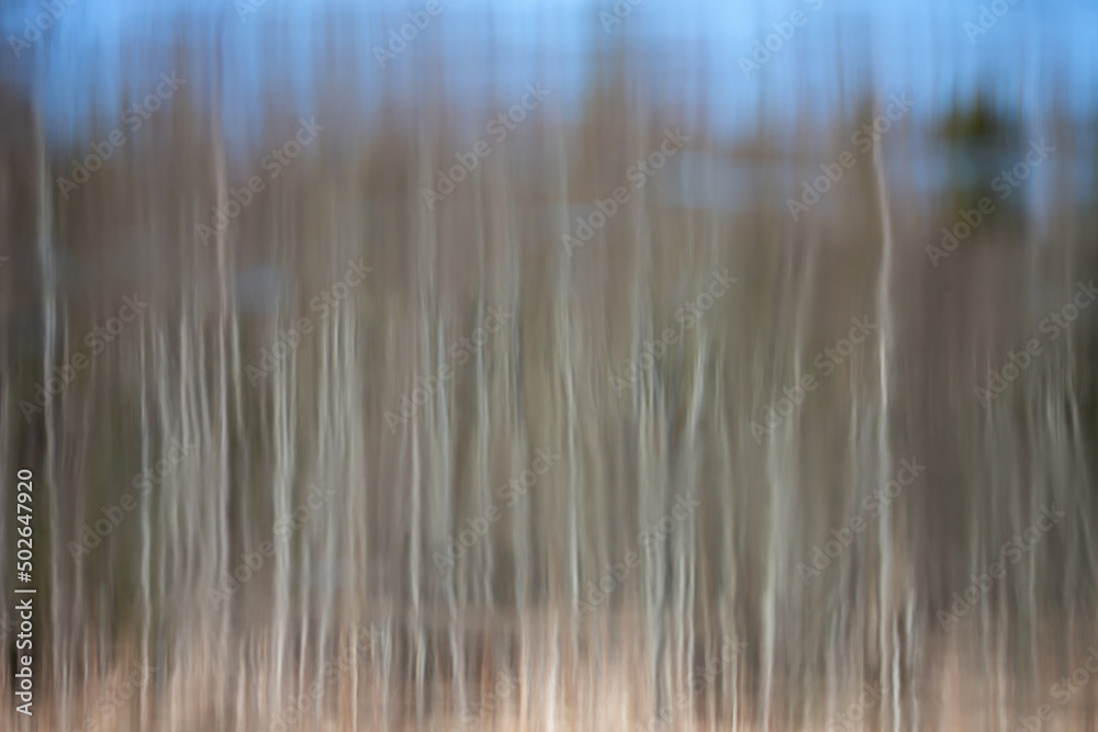 Abstract blurred background. Reflection of tree trunks and the sky in the river. Creative photo. Spring flood. Brown blu abstract background. Abstract blurred background. Reflection of tree trunks and the sky in the river. Creative photo. Spring flood. Brown blu abstract background.