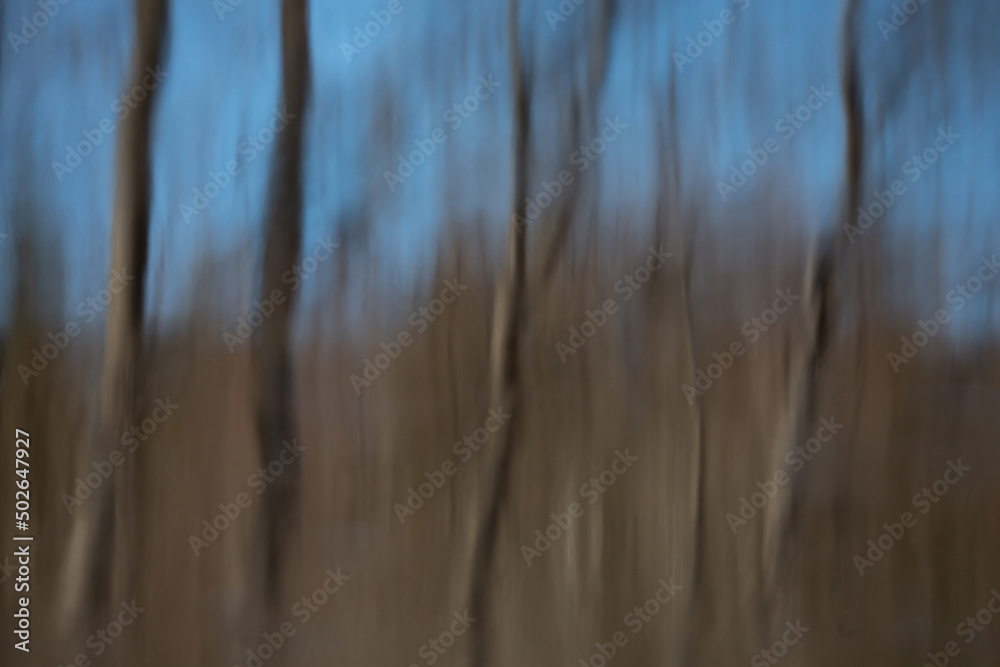 Obraz premium Abstract blurred background. Reflection of tree trunks and the sky in the river. Spring flood. Creative photo.