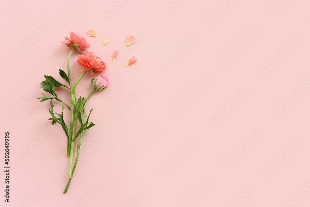 Top view image of pink flowers composition over pastel background