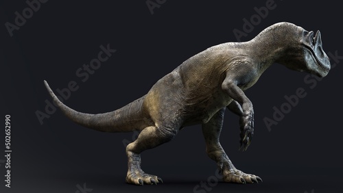 Allosaurus dinosaur of background. 3d rendering © racksuz