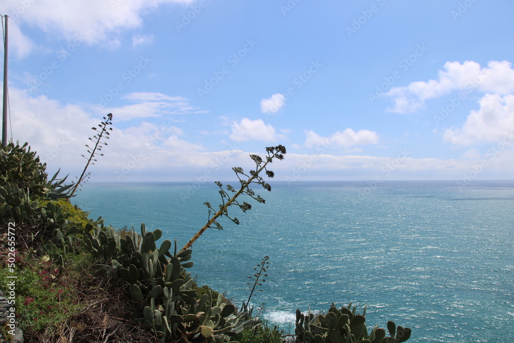 Hiking the Cinque Terre | From Vernazza to Corniglia Hiking the Cinque Terre | From Vernazza to Corniglia
