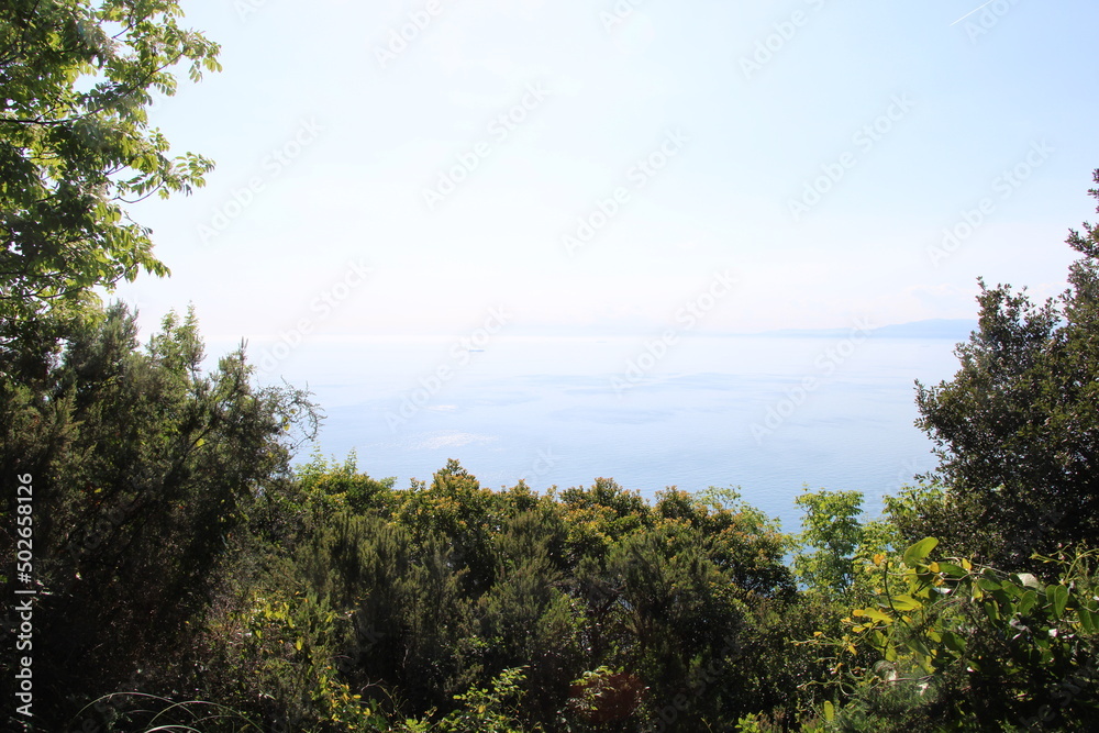 Hiking on the Portofino peninsula | From San Rocco to  Batteria di Punta Chiappa | Mount Portofino Natural Regional Park