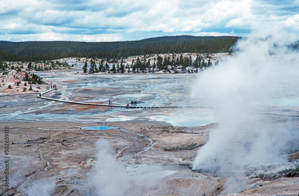 Yellowstone National Park Thermal Basin Yellowstone National Park Thermal Basin