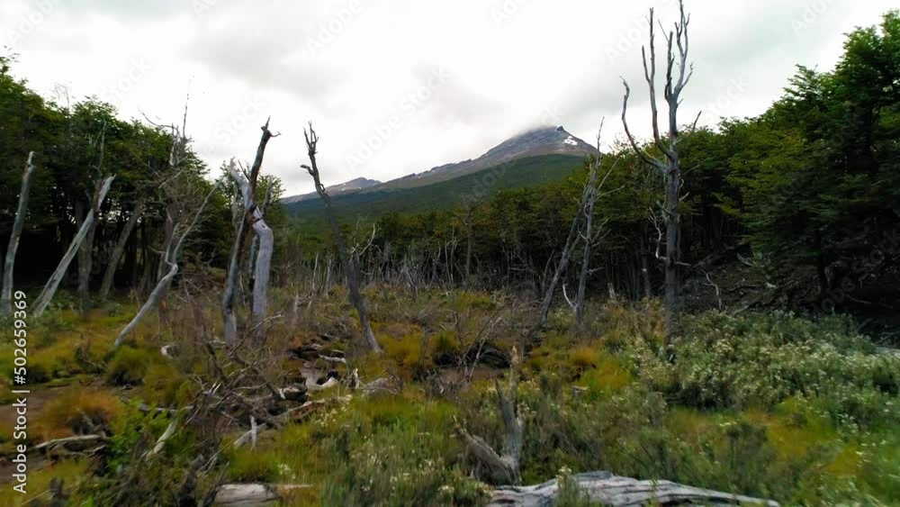 Aerial: Scenic Shot Of Mountain Peak Under Clouds, Drone Flying Forward Over Green Landscape - Ushuaia, Argentina Aerial: Scenic Shot Of Mountain Peak Under Clouds, Drone Flying Forward Over Green Landscape - Ushuaia, Argentina