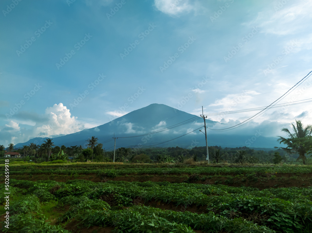 Fototapeta premium beautiful natural scenery from mount ciremai