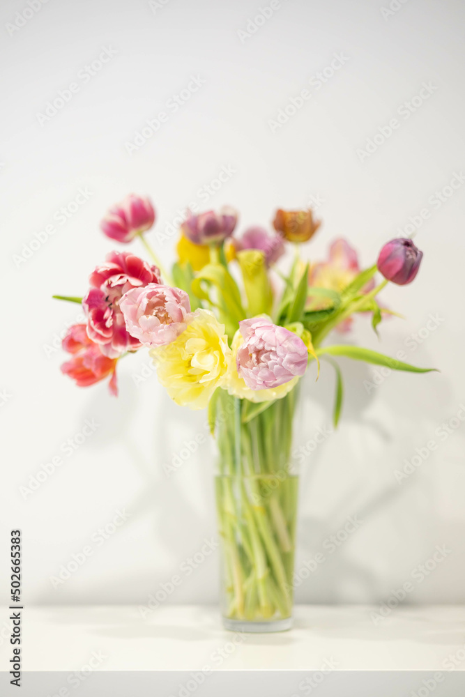 Amazing high key tulip vase picture very relaxing and cheerful. Pure spring image.