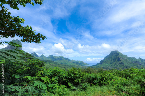 Mount Tohiea and mountain range  Moorea  French Polynesia