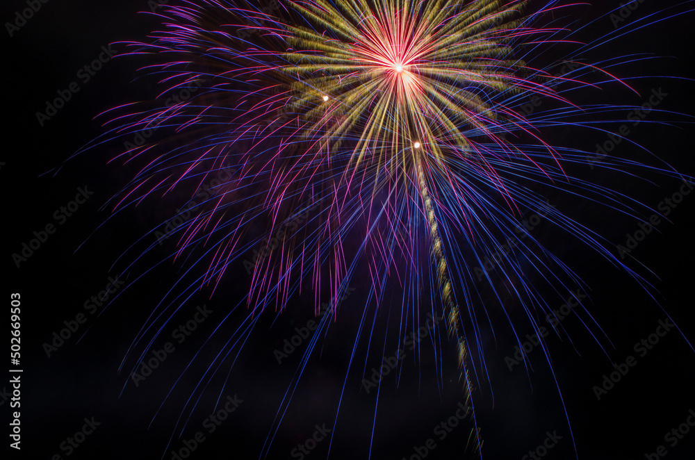 Fireworks at Night Fireworks at Night