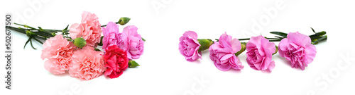 Stack carnations on white background 