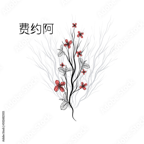 Vector illustration with blooming Feijoa in doodle technique on a white background 