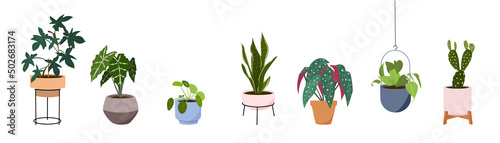 Potted plants collection on white background. Set of interior house plants with baskets, cactus, monstera, leaves and foliage. Different home indoor green decor illustration for decoration, art.