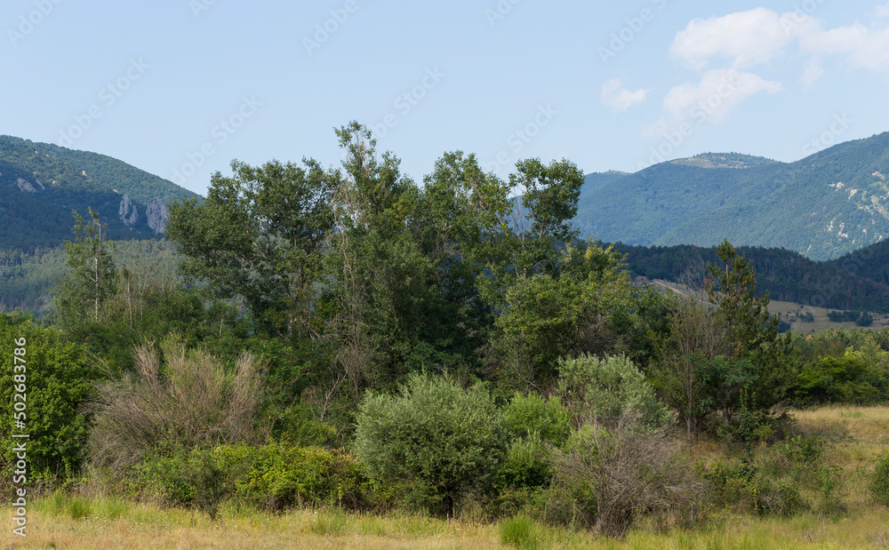 Panoramic terrain of southern Europe. Landscape of Bulgaria-mountains, fields, flora. Panoramic terrain of southern Europe. Landscape of Bulgaria-mountains, fields, flora.