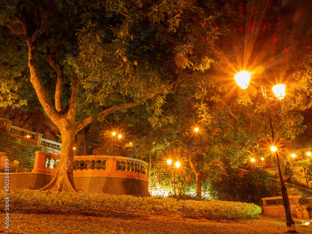 Obraz premium Night view of the S. Francisco Garden