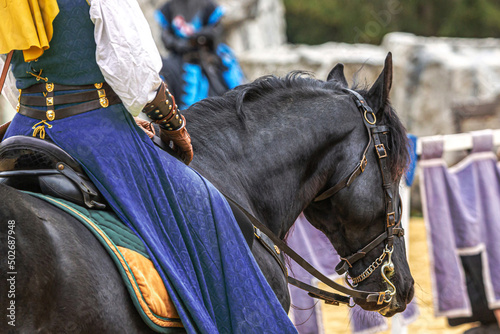 A woman wearing a medieval dress riding a black horse at a larp festival photo