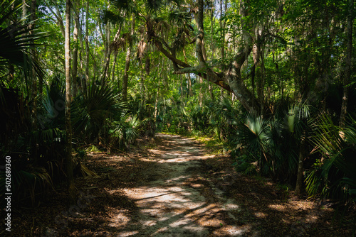 Wooded walking trail in Central Winds park in Winter Springs  Florida