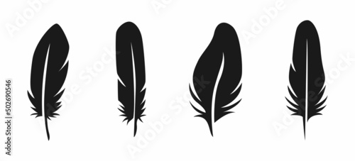 Canvas feather icon