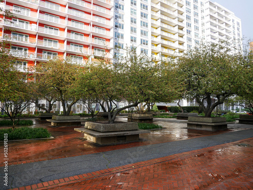 city park