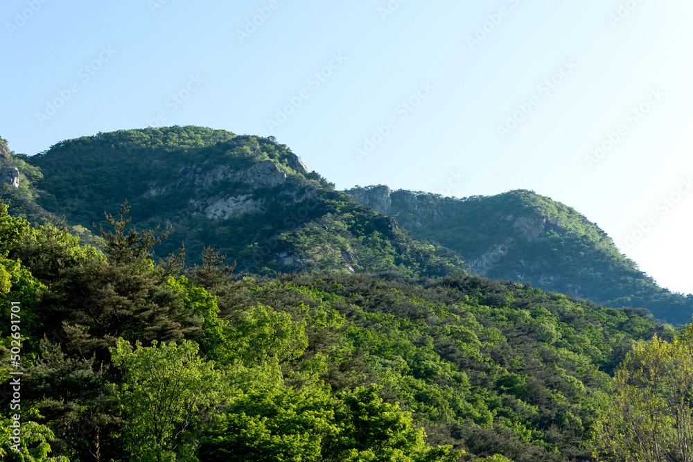 mountain landscape under blue sky