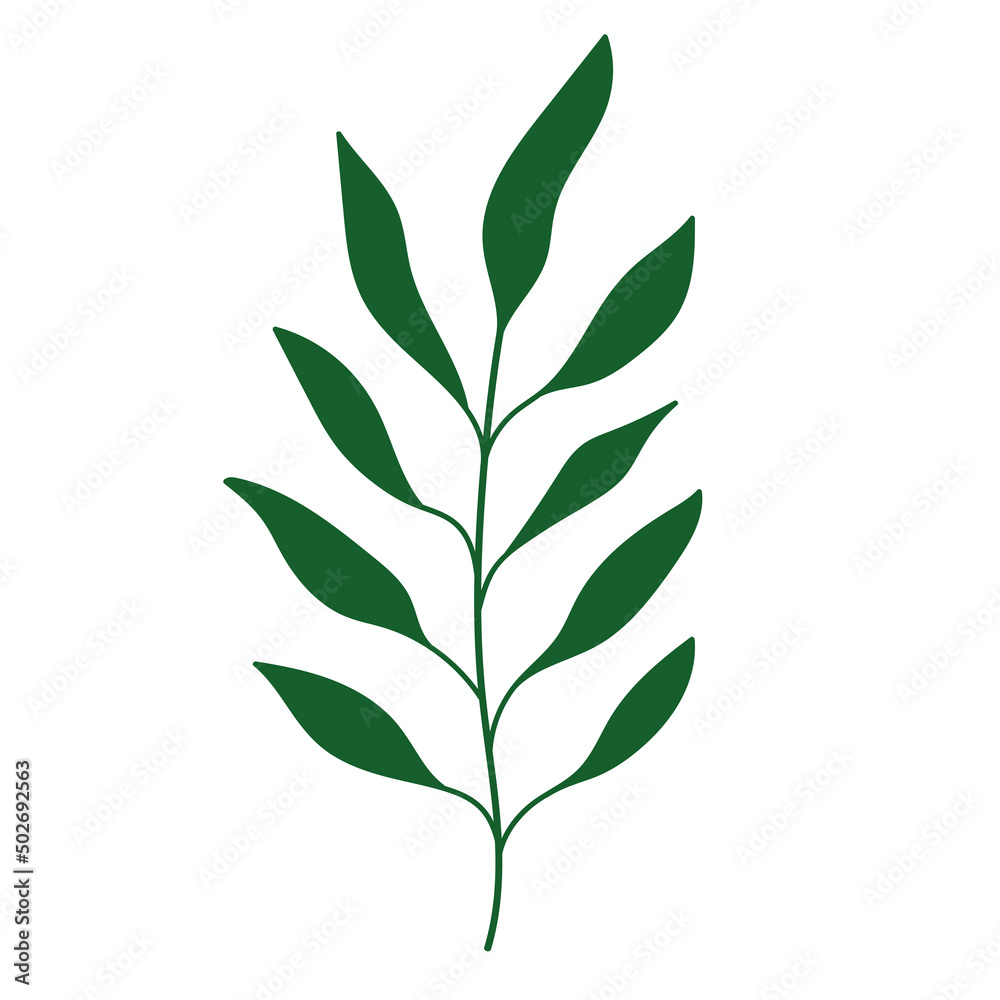 Fototapeta premium leaves foliage nature