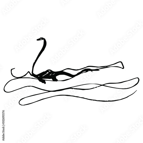 Swimming plesiosaur. Loch Ness Monster. Nessie. Hand drawn linear doodle rough sketch. Black silhouette on white background. photo