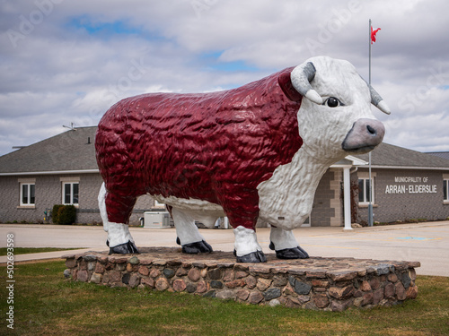 Big Bruce in Chesley, Ontario, is a monument to the cattle industry in Ontario