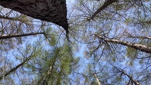 北海道の春の風景