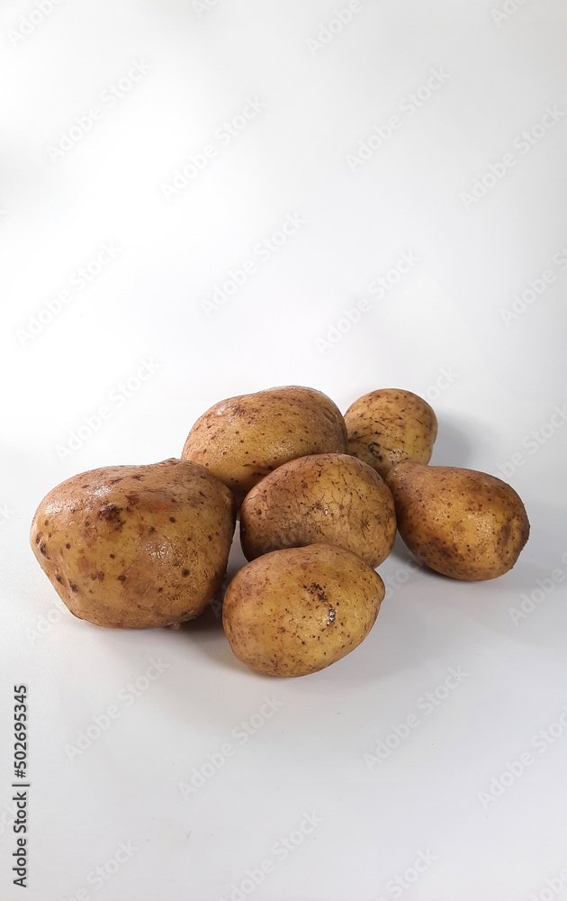 fresh potatoes on a white background fresh potatoes on a white background
