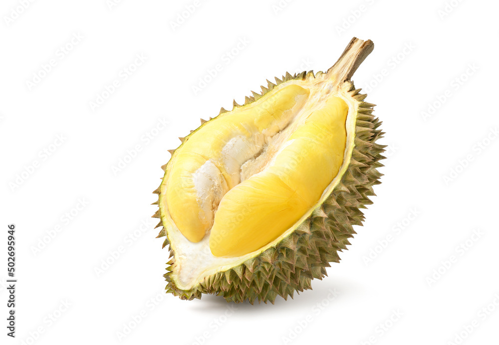 Fototapeta premium Durian fruit cut in half isolated on white background. Clipping path.