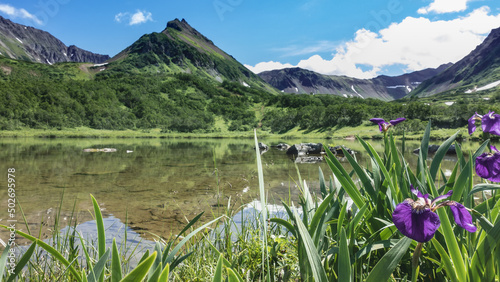 The calm lake is surrounded by mountains. Reflection on the water. On the shore there is lush green vegetation, blooming purple irises. Blue sky with clouds. Kamchatka. Vachkazhets. Lake Tahkoloch photo