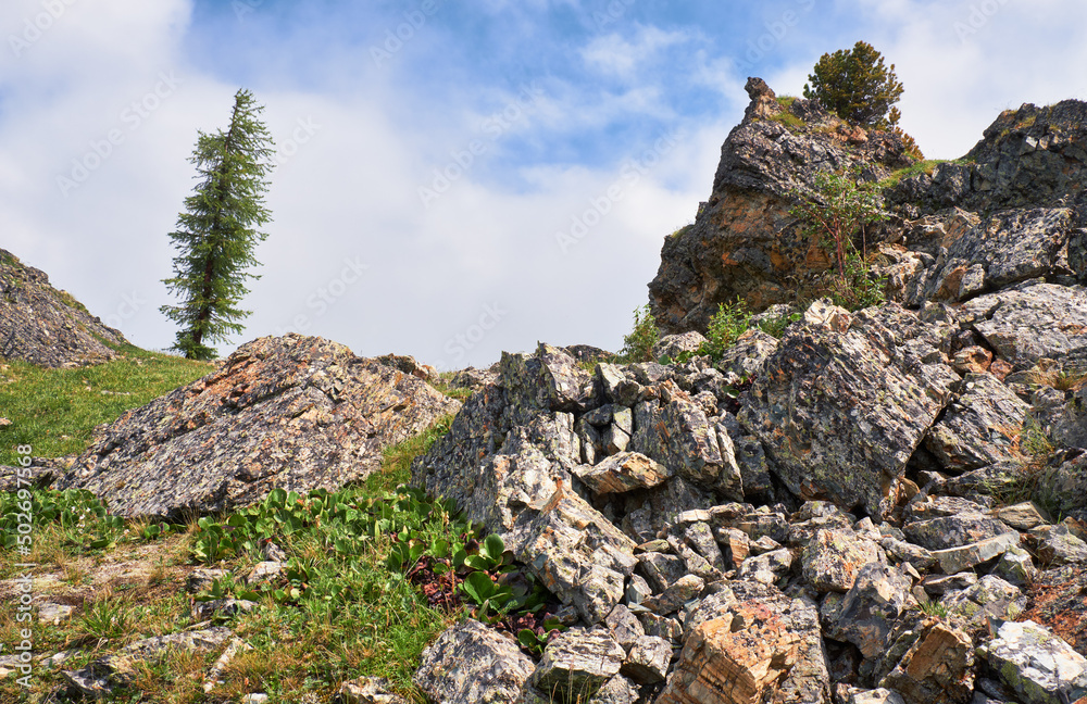 Morning in Altai mountains landscape. Morning in Altai mountains landscape.