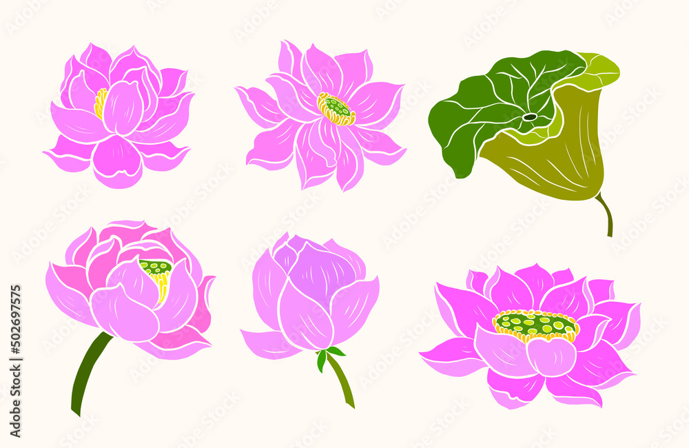 Fototapeta premium Koi fish vector for printing on shirt on isolated white background.Hand drawn lotus and koi fish carp vector for printing on background.Lucky Chinese animal illustration for painting.