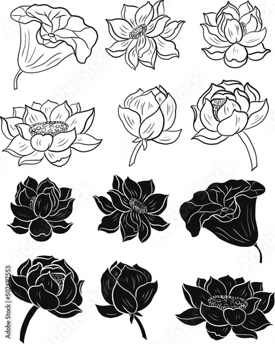 Koi fish vector for printing on shirt on isolated white background.Hand drawn lotus and koi fish carp vector for printing on background.Lucky Chinese animal illustration for painting.