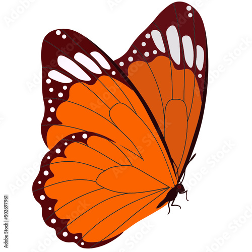 Butterflies. Insects. Multicolored. Vector Clipart