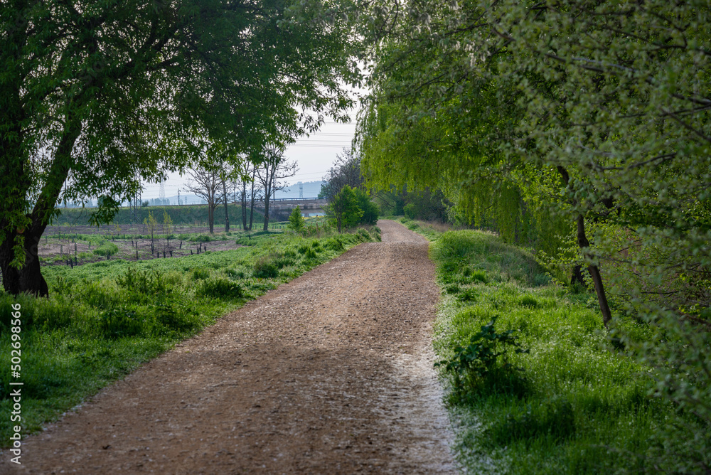 paisaje de campo verde en la naturaleza primaveral	en España