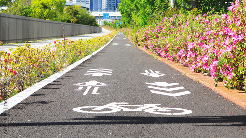 Cycling  road in Ariake area, Tokyo photo