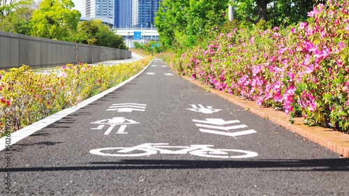 Cycling  road in Ariake area, Tokyo