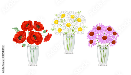 Summer flowers in a glass vase. Set of bouquets of daisies, red poppies and purple echinacea. Vector illustration in cartoon flat style.