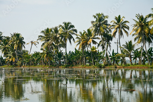 backwaters in alleppey, kerala © anghifoto
