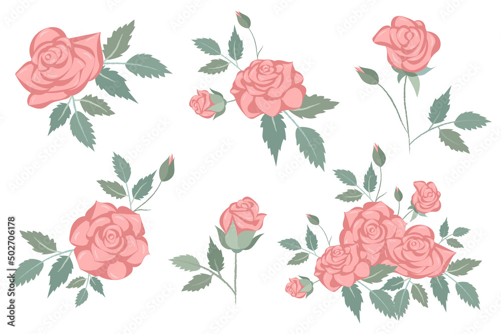 A set of delicate pink roses for design A set of delicate pink roses for design