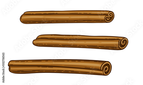 Three brown cinnamon sticks. Isolated on a white background. Sketch of the bark of a cassia or canella plant. Cinnamon spice and flavor. Hand drawn vector illustration in flat cartoon style.