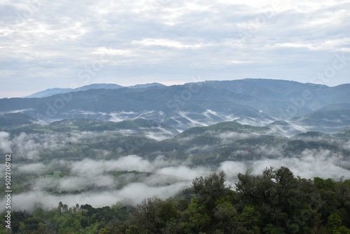 mountains in the fog