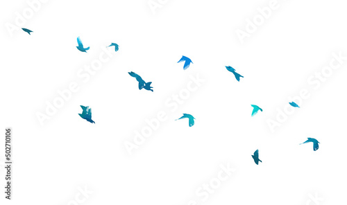 A flock of blue birds. Vector illustration