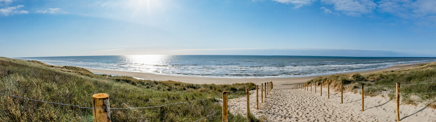 Foto auf Acrylglas Nordsee Ein Weg mit vielen Bahnen, begrenzt durch Holzpfähle auf der Sanddüne mit wildem Gras und Strand in Noordwijk an der Nordsee in Holland Niederlande - Panorama Meereslandschaft mit blauem Himmel und Wolken  © Corri Seizinger