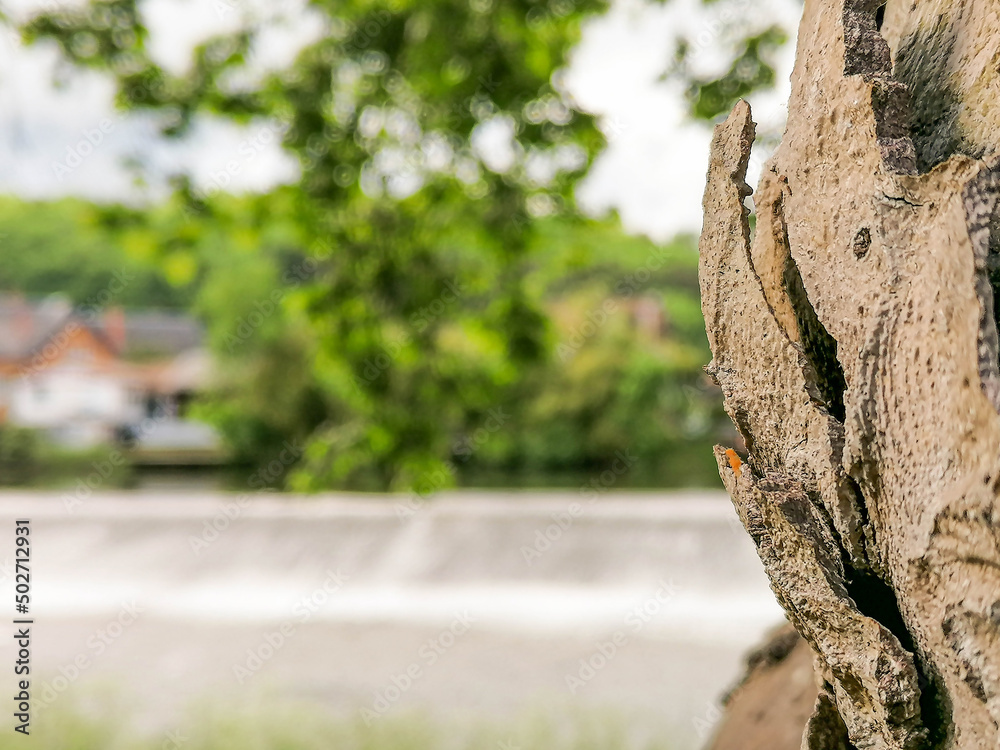 Obraz premium Place de barnabé