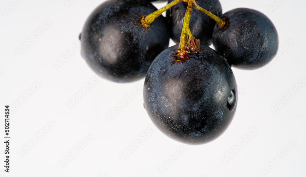 A small bunch of black grapes on a white background closeup A small bunch of black grapes on a white background closeup